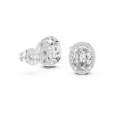 Regal Oval Halo Earrings